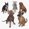 Sitting Dog Collection x5 3D Models | 3DTree Scanning Studio
